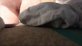 از خواب بیدار, سگ بل ...