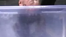 کیمبرلی توسط یک متجا ...