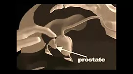 یک سریال هایسکسی توپ ...