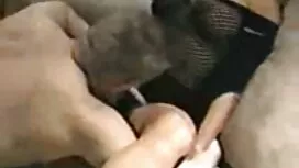 بزرگ سریع دوستان ظرو ...