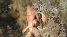 نیکی یک ژاکت دانلود  ...