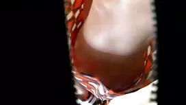 دختران با شیر در مقع ...